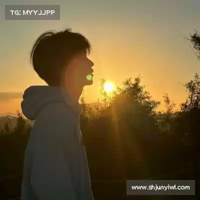 皮蝶研